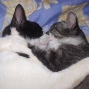 Meet your Posher, Maddy